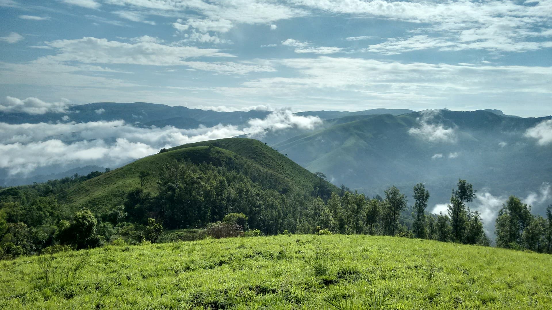 Wayanad