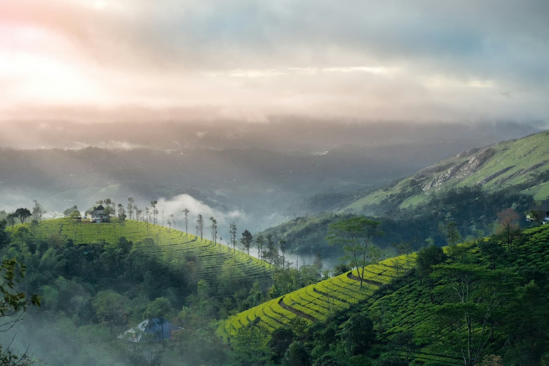 Kerala Short Tours